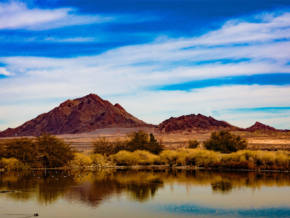 Las-Vegas-Wetland